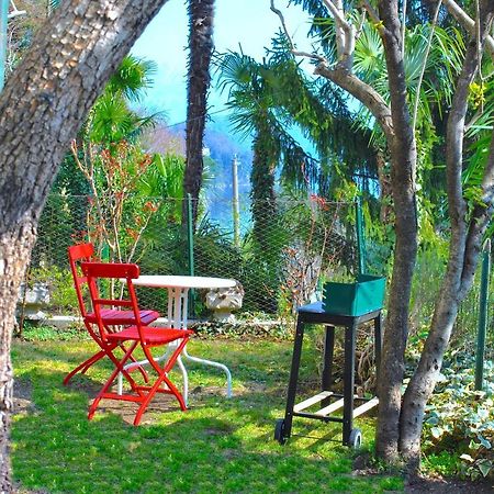Apartment The Palm With Garden Sala Comacina Extérieur photo